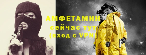 гашик Каменка