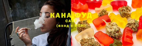гашик Каменка