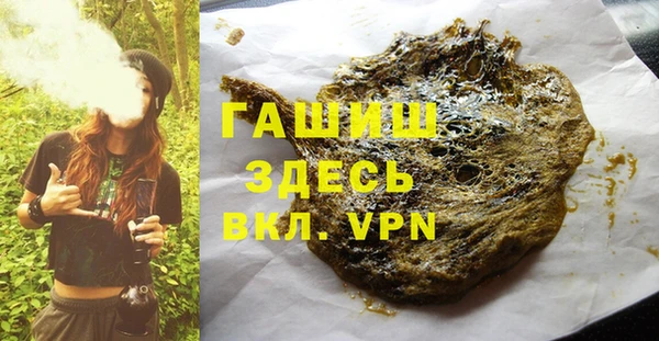 гашик Каменка