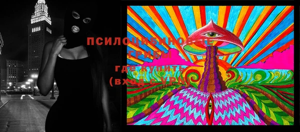 ГАЛЛЮЦИНОГЕННЫЕ ГРИБЫ Касимов