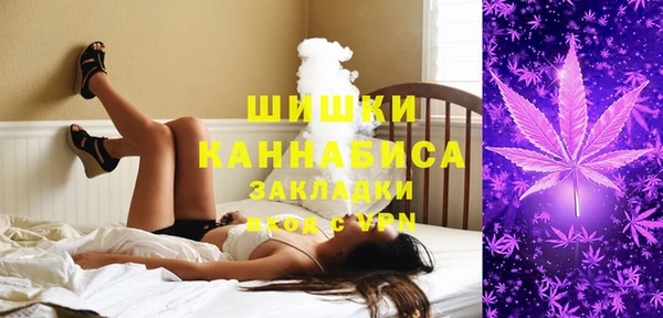 гашик Каменка