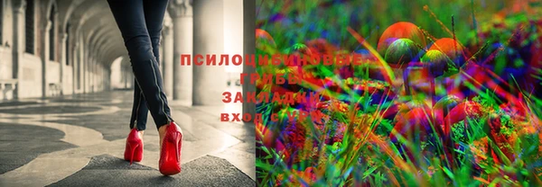гидра Орехово-Зуево
