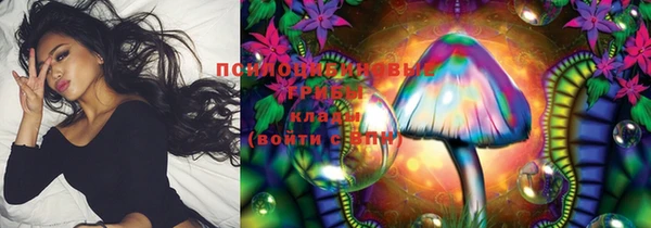 ГАЛЛЮЦИНОГЕННЫЕ ГРИБЫ Касимов