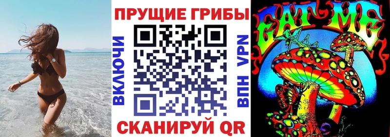 Галлюциногенные грибы Psilocybe  хочу   Пролетарск 